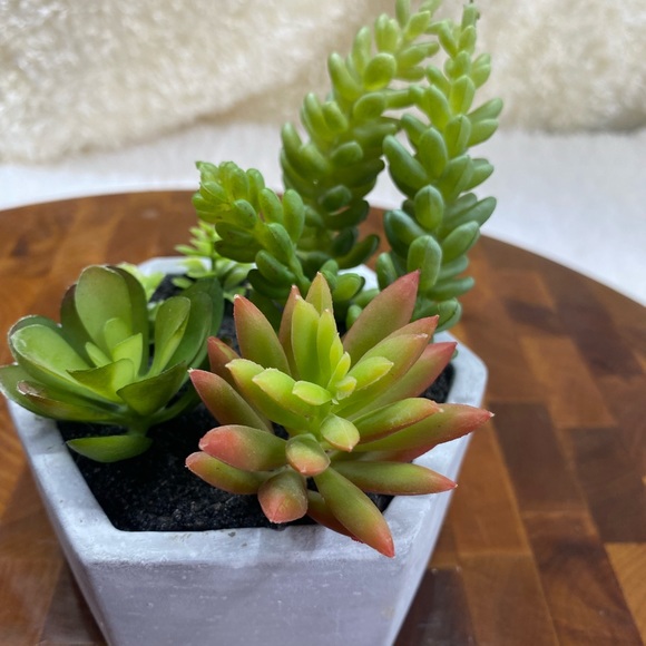Faux succulents, 3-4 in 2”H hexagon shaped pots (2 available for purchase) - Picture 3 of 14